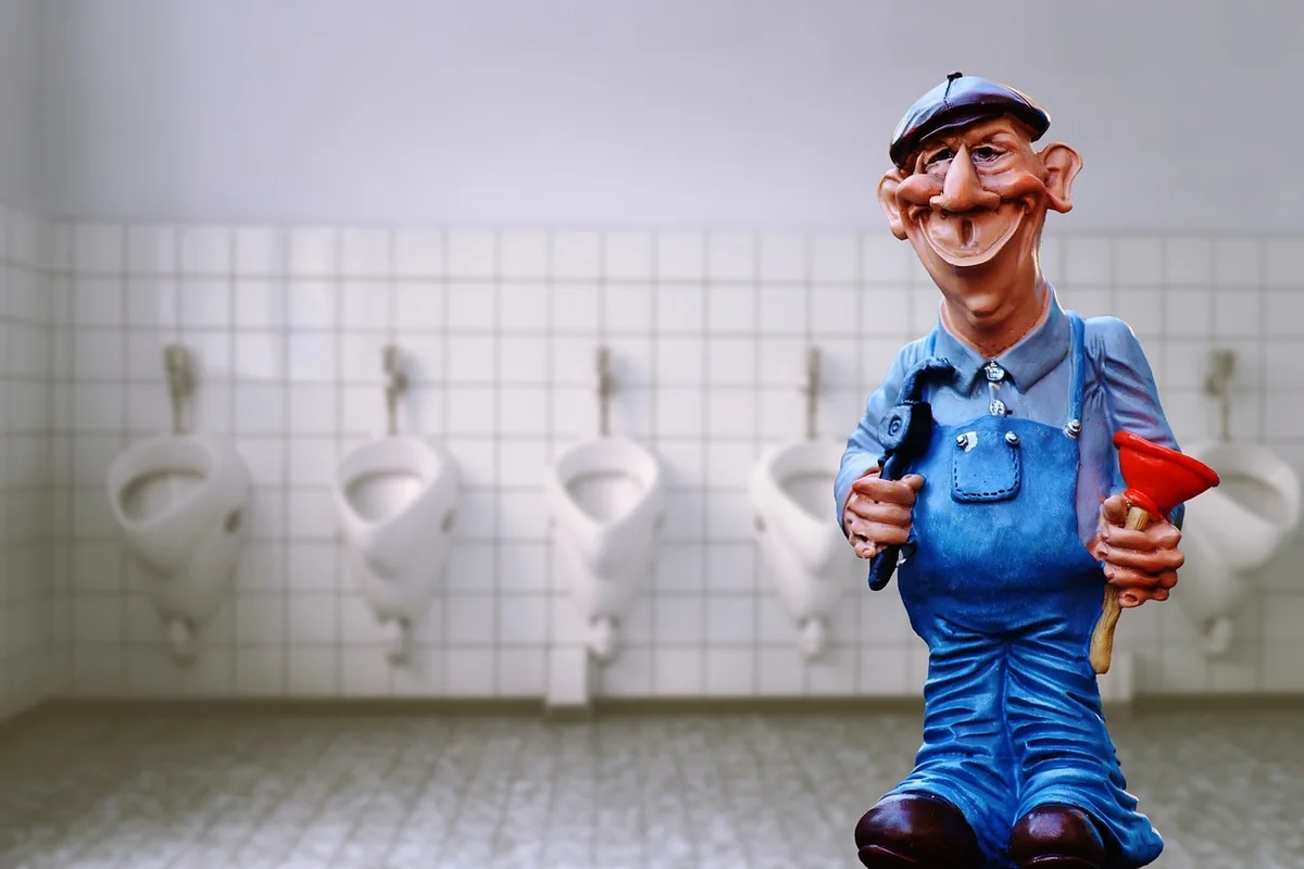 Vers dans les toilettes : causes et solutions efficaces en 2026